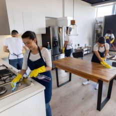 Latin American group of professional cleaners cleaning an apartment - service concepts